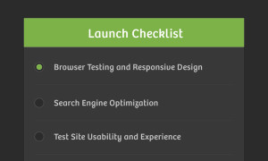 launch checklist